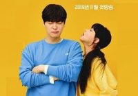 Download Drama Korea Love With Flaws Subtitle Indonesia